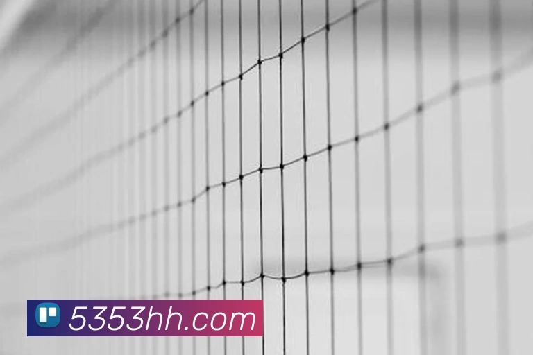 战术分析频道